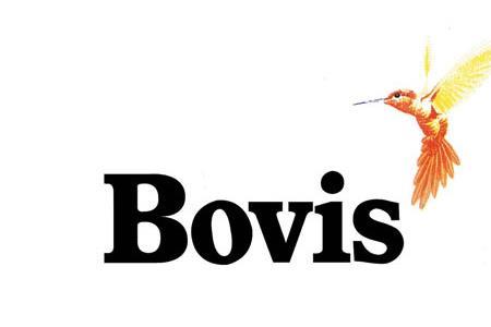 bovis logo 2