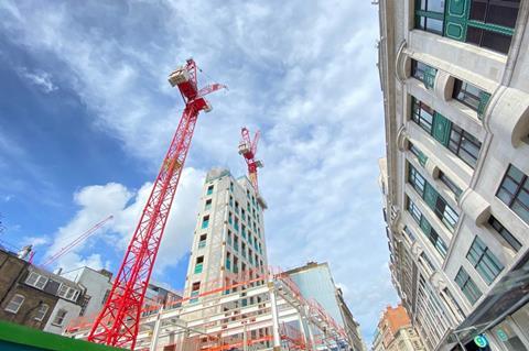 crane