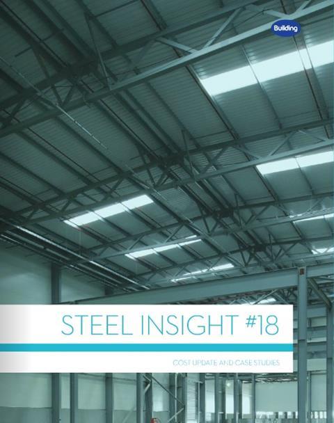 Steel Insight