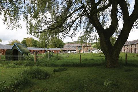 Pilsdon farm yard