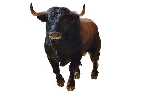 Bull-shutterstock_1317677801