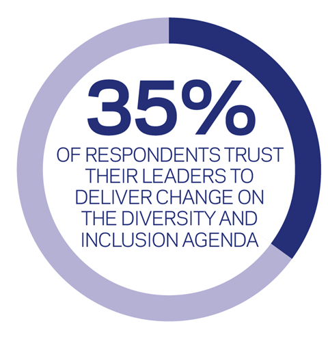 Diversity survey stat 3