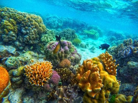 shutterstock_2454293569