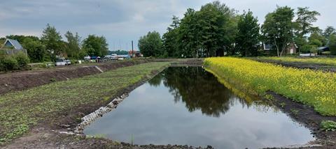 Filter wetland Netherlands