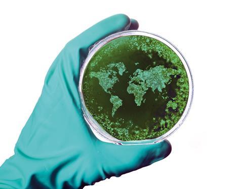 The-world-on-a-petri-dish---shutterstock_328776209