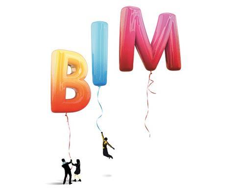 BIM