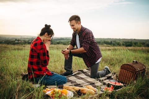 image - picnic proposal trend