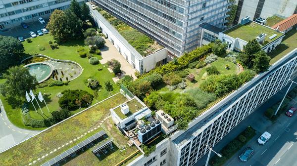 CPD 09 2025: Roofs, regulations and fire safety | Information ...