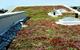 Green roof
