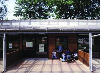 The single-storey King Alfred School in north London has a canopy to provide a semi-outdoor space for children to learn in