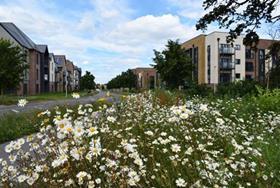 Housebuilders welcome relaxation of BNG rules on smaller sites