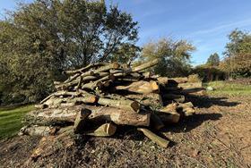 Opportunities and threats for wider UK hardwood use explored at V&A event